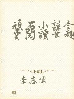 顽石小说全文免费阅读笔趣阁封面