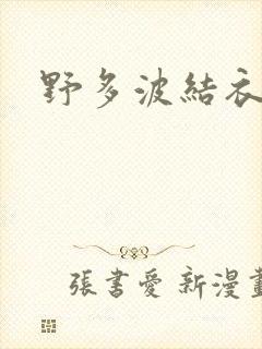 野多波结衣封面
