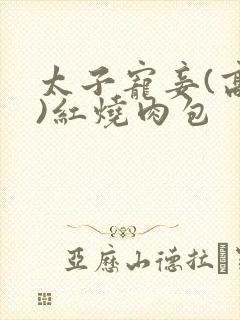 太子宠妾(高肉)红烧肉包