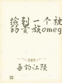 捡到一个被抹布的贵族omega封面