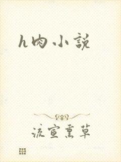 h肉小说
