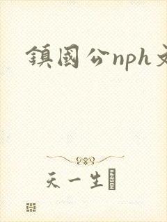 镇国公nph文封面