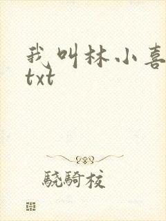 我叫林小喜小说txt封面