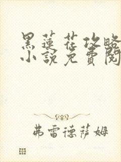 黑莲花攻略手册小说免费阅读