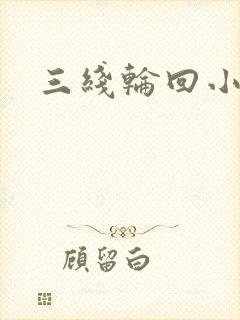 三线轮回小说封面
