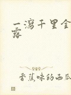 一泻千里金银花露封面