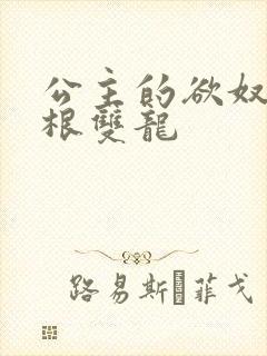 公主的欲奴h四根双龙