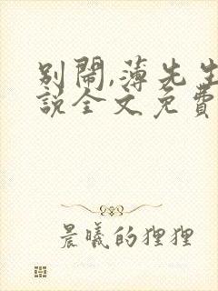 别闹,薄先生小说全文免费阅读