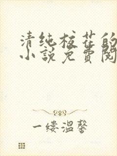 清纯校花的秘密小说免费阅读