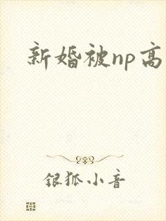 新婚被np高h