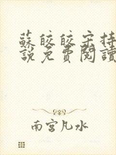 苏皎皎宋持的小说免费阅读