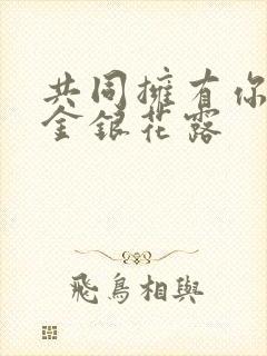 共同拥有你by金银花露封面