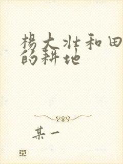 杨大壮和田桂花的耕地