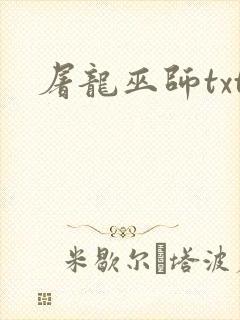 屠龙巫师txt