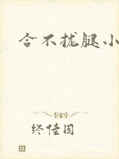合不拢腿小说