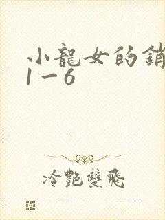 小龙女的销魂夜1一6封面