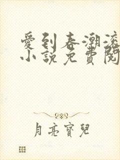 爱到春潮滚滚来小说免费阅读