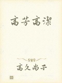 高芳高洁封面