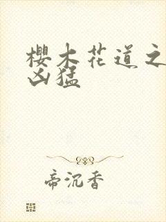 樱木花道之重生凶猛