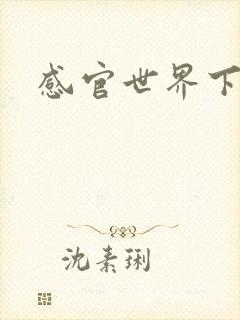感官世界下载