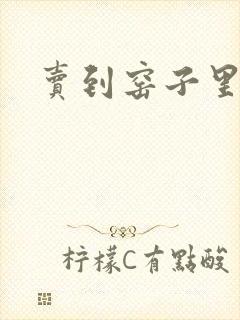 卖到窑子里np封面