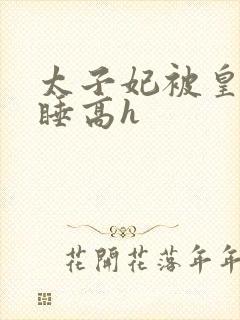 太子妃被皇上强睡高h封面