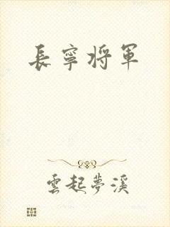 长宁将军封面