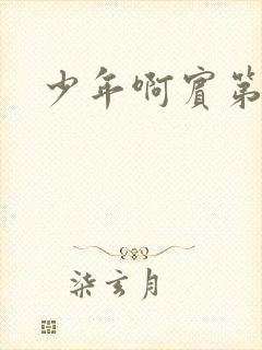 少年啊宾第二部