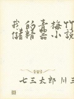 我的青梅竹马是储精器小说