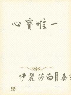 心宝唯一