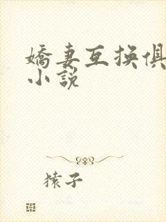 娇妻互换俱乐部小说封面