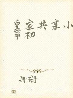 皇家共享小公主宁初封面