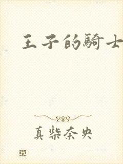 王子的骑士小说