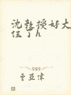 沈教授好大含不住了h