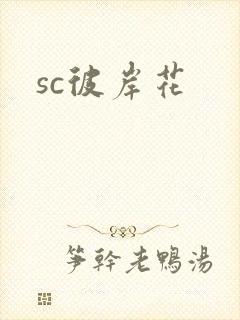 sc彼岸花封面
