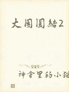 大团圆结2