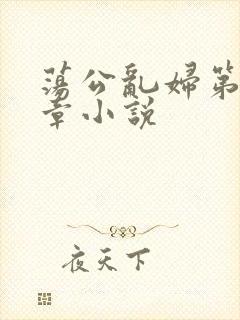 荡公乱妇第51章小说