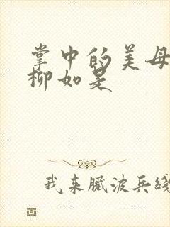 掌中的美母版主柳如是