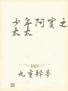 少年阿宾之房东太太