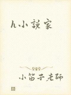 h小说家