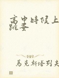高中时候上课带跳蚤封面