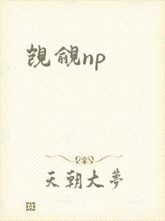觊觎np