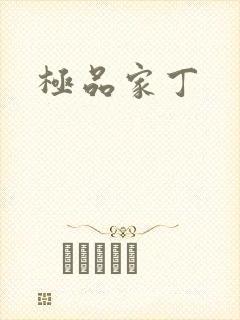 极品家丁