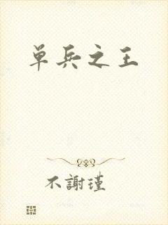 单兵之王封面