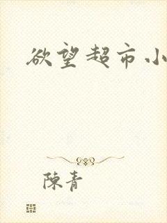欲望超市小说