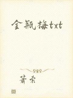 金瓶梅txt