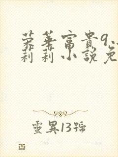 荣华富贵9小王莉莉小说免费阅读封面