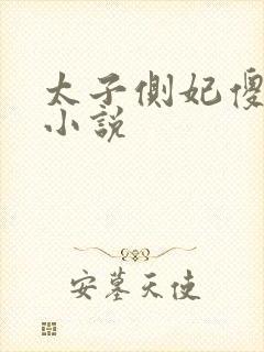 太子侧妃傻乎乎小说