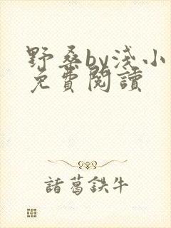 野桑by浅小说免费阅读