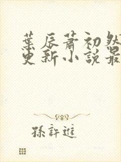 叶辰萧初然最快更新小说最新章节